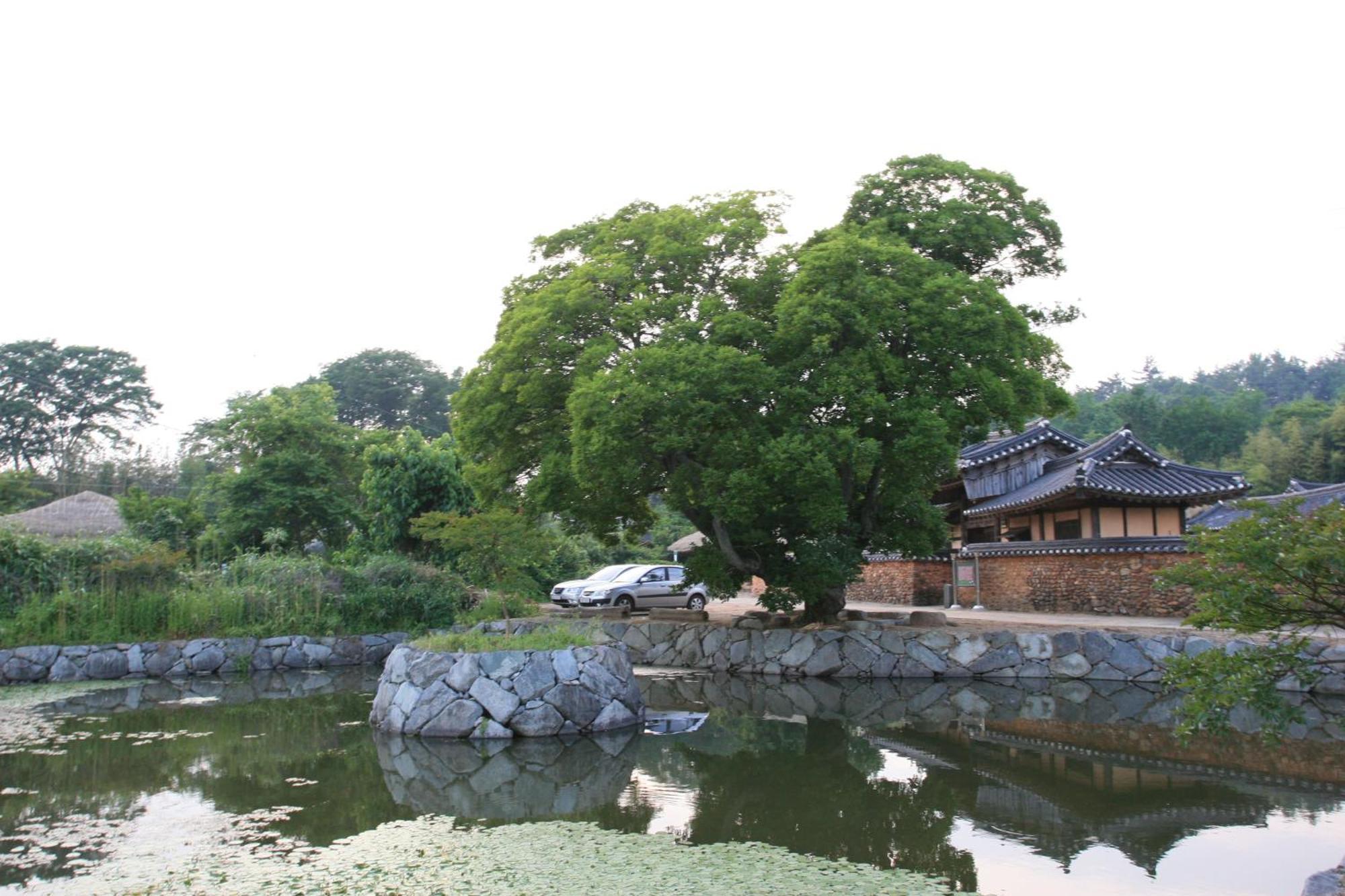 Jinrae Lee'S Traditional House Boseong Esterno foto